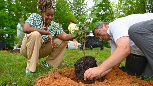 Campus tree planting